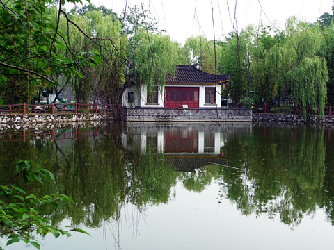 园林风景