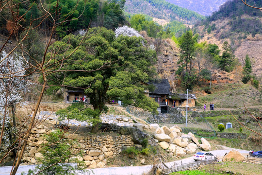 武宁太平山风情