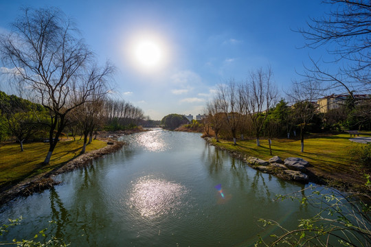 生态湿地