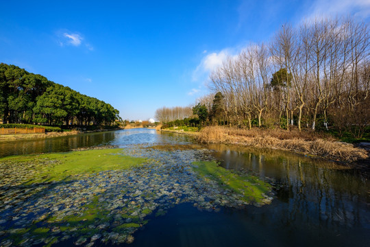 生态湿地