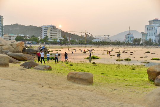 芽庄 钟屿石岬角 海滩