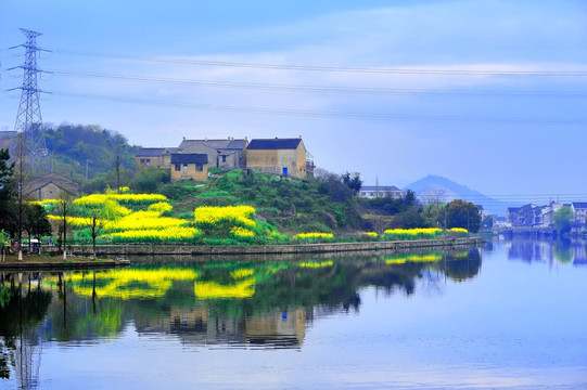 湖边小山上的油菜花与小庙