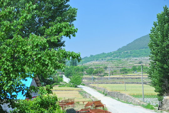 乡村风景 田园风景