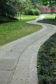 林間小路