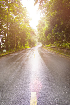 阳光大道