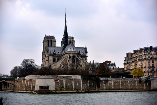 巴黎圣母院的背影