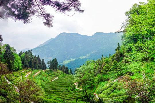 南岳衡山