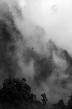 水墨山水 莲花山 雾