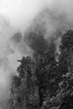 水墨山水 莲花山 雾