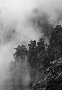 水墨山水 莲花山 雾