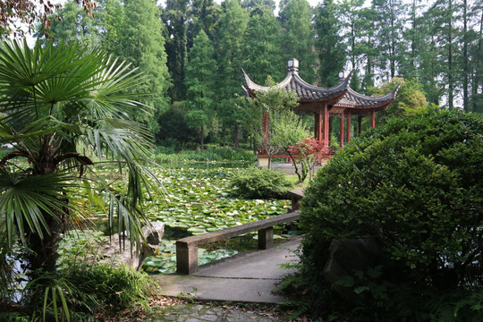 植物园风景