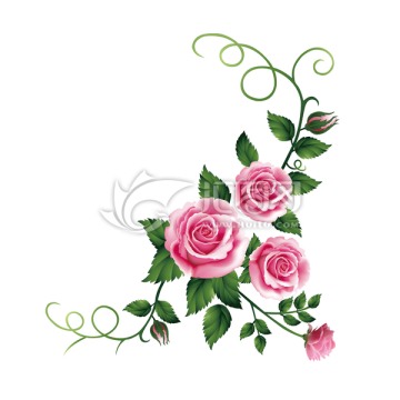 玫瑰花 花邊 花紋 邊框