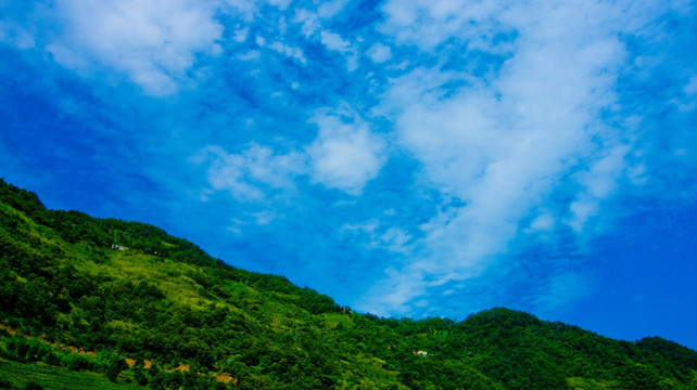 蓝天白云 绿树山野