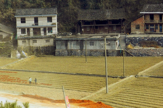 山村 怀旧风格