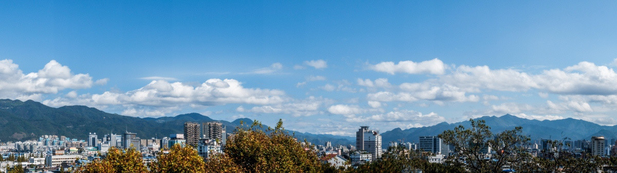 城市全景