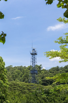树林 蓝天信号塔