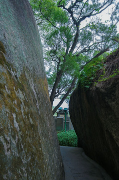 狭窄山路