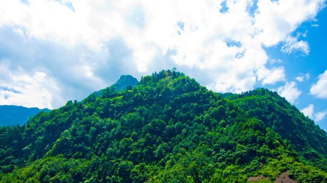 一座大山 青山