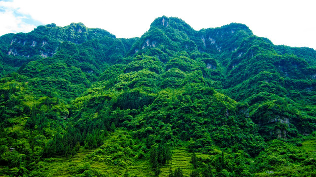 高山 高耸的青山