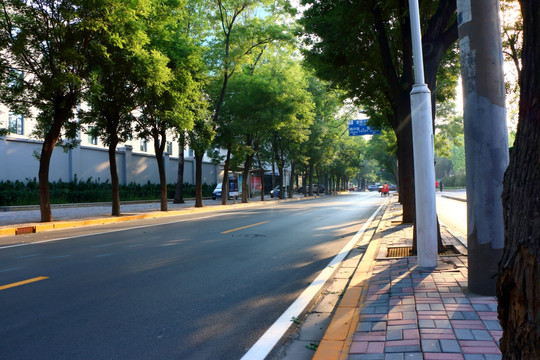 城市道路