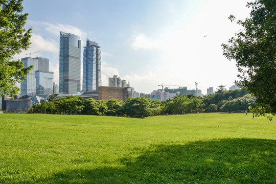 城市风景