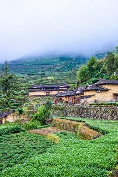 茶山村庄