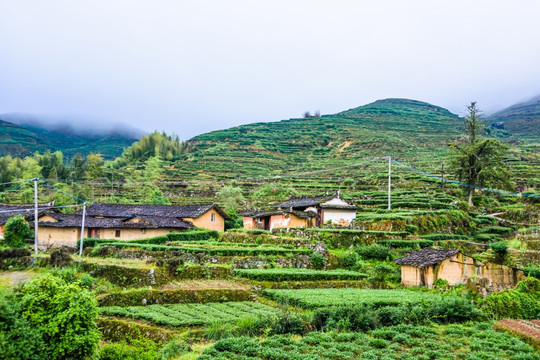 茶山村庄