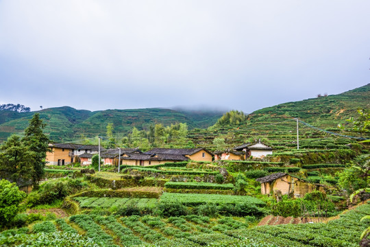 茶山民居