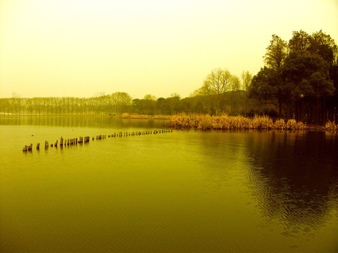 湖边美景 湖边景色 湖水