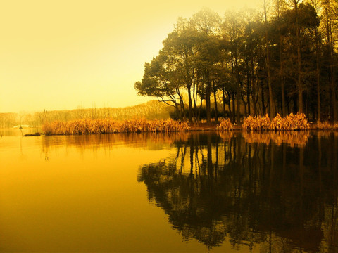 夕阳湖边 湖边美景 沼泽美景