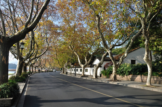 杭州北山路