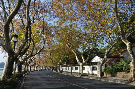 杭州北山路