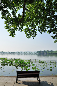 杭州西湖风光