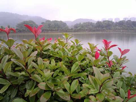 水产养殖基地