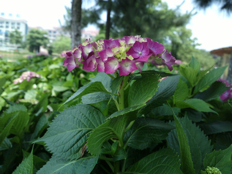 春暖花开