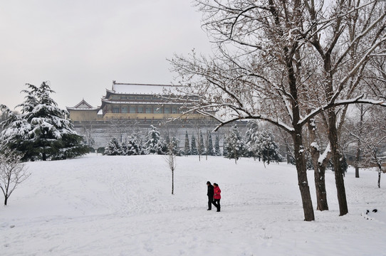 公园雪景