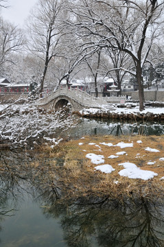 雪后 石桥