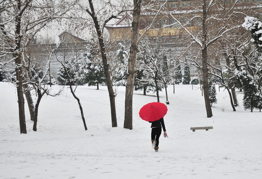 雪地里的红伞