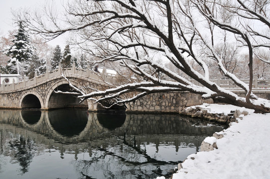 雪后的公园