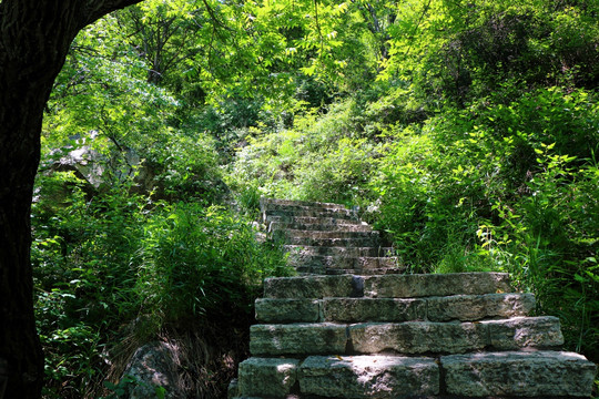 山间石阶