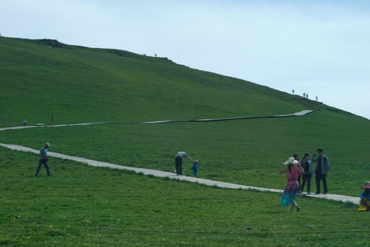 绿山坡