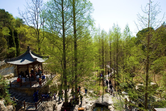 北京植物园樱桃沟