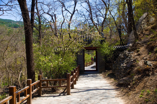 北京植物园樱桃沟