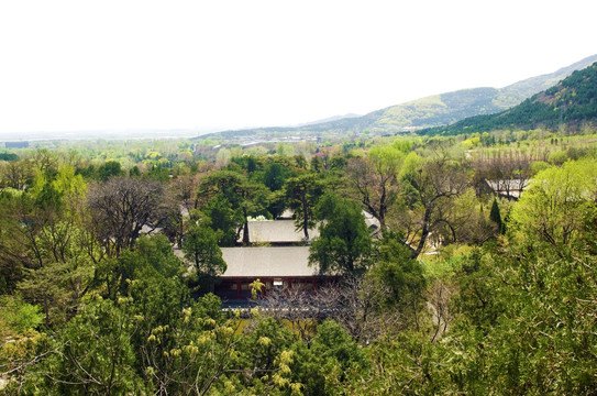 北京植物园