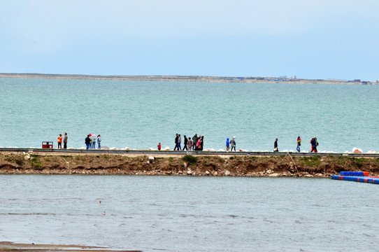 青海湖风光