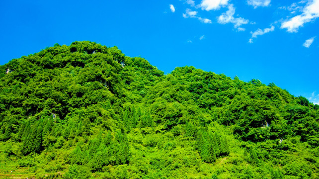 绿色山野