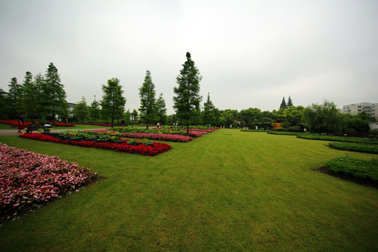 上海植物园景观
