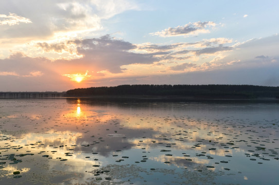 沈阳丁香湖日落