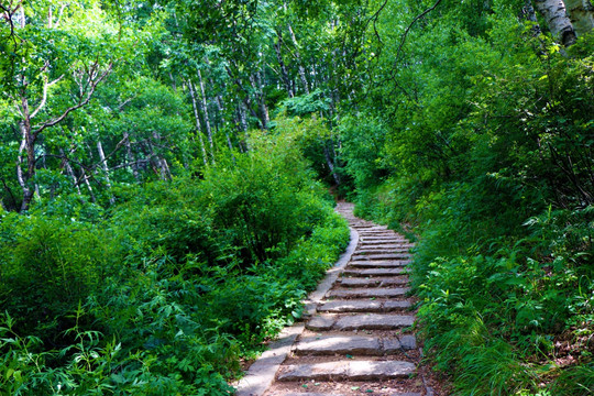 石阶小路