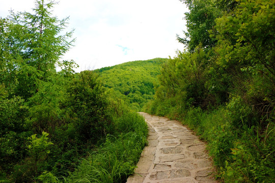 山间石路